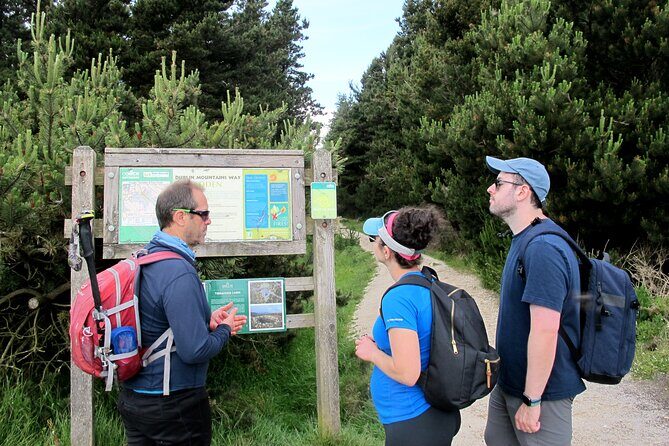 Trek the Tombs and Trails in the Dublin Mountains - Wild Berries on a Ridge Walk: Stop 3 Tibradden