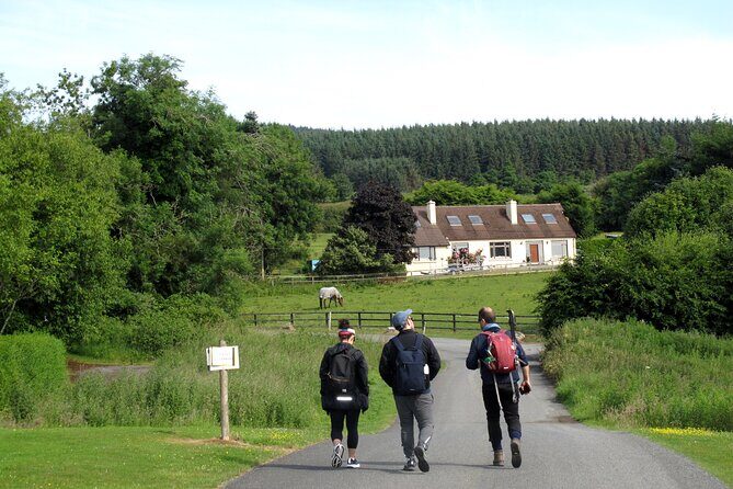 Trek the Tombs and Trails in the Dublin Mountains - The Hazel House Area Finish: Forest Walk, Cafe Lunch, or a Country Pub Pint