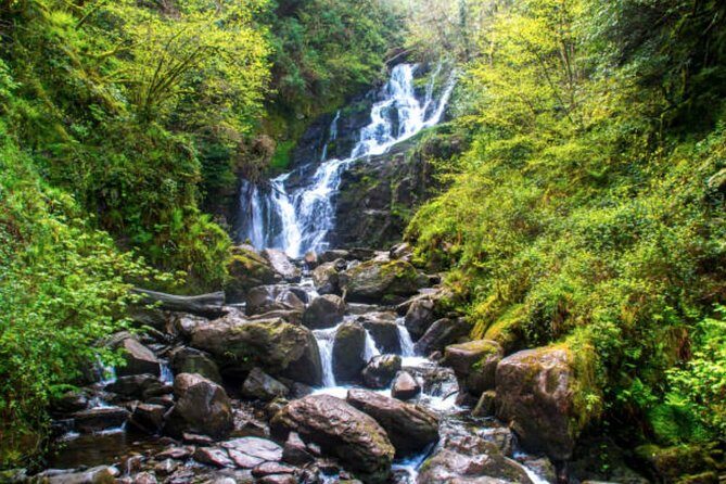 Wicklow Mountains & Glendalough Luxury Private Day Tour - Powerscourt Waterfall: wildlife at 121 meters and a quick, scenic break