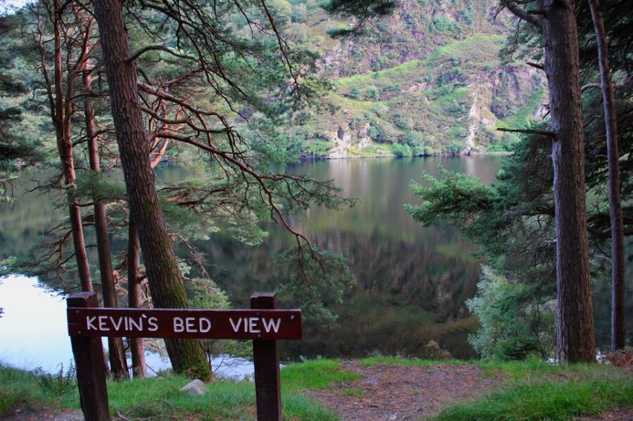 Wicklow Mountains Private Day Tour including Glendalough - Lunch at a traditional Irish pub: plan your tastes