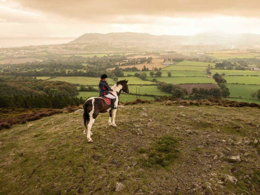 Wicklow: Private Day Tour from Dublin - Wicklow Mountains National Park: the scenic stops that connect the dots