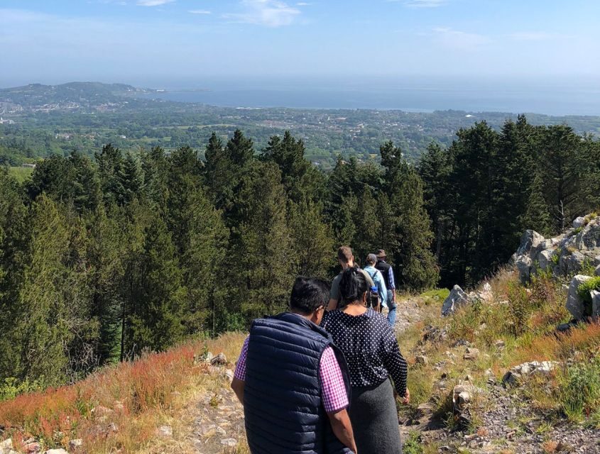 Wicklow: Private Day Tour from Dublin - Who this private Wicklow day tour is best for